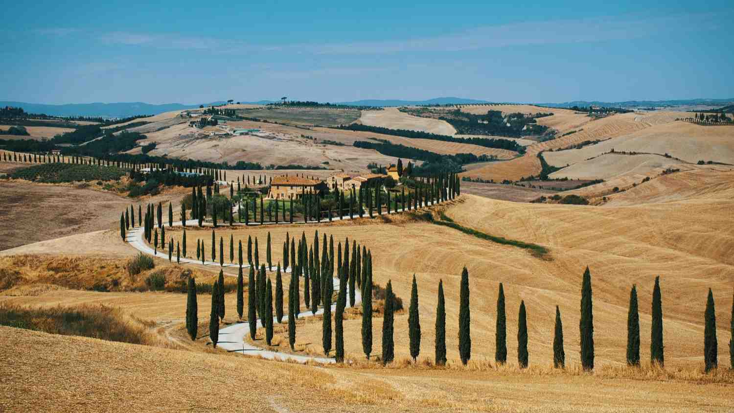 tuscany-pine-trees-road-countryside-panoramic